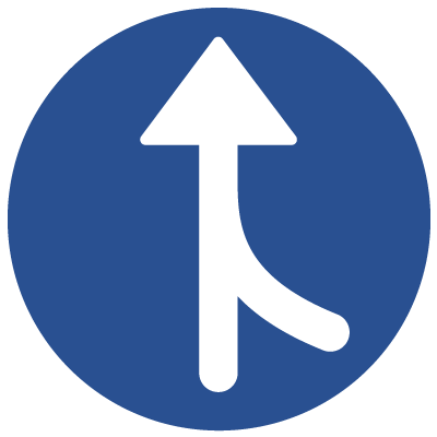 CDISC Blue Icon CDISC